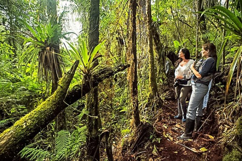 Midagri aprueba reglamento de Clasificación de Tierras por su Capacidad de Uso Mayor