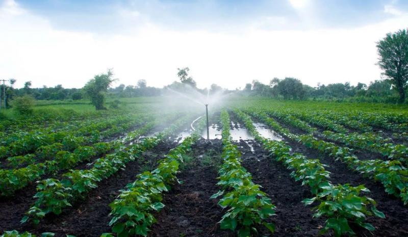 Midagri crea grupo de trabajo para reglamento de ley que promueve agricultura moderna