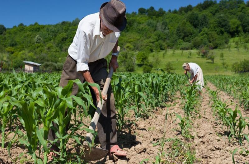 Midagri crea Grupo de Trabajo Sectorial para la elaboración del proyecto de Plan Nacional de Competitividad Agroindustrial “Compeagro”