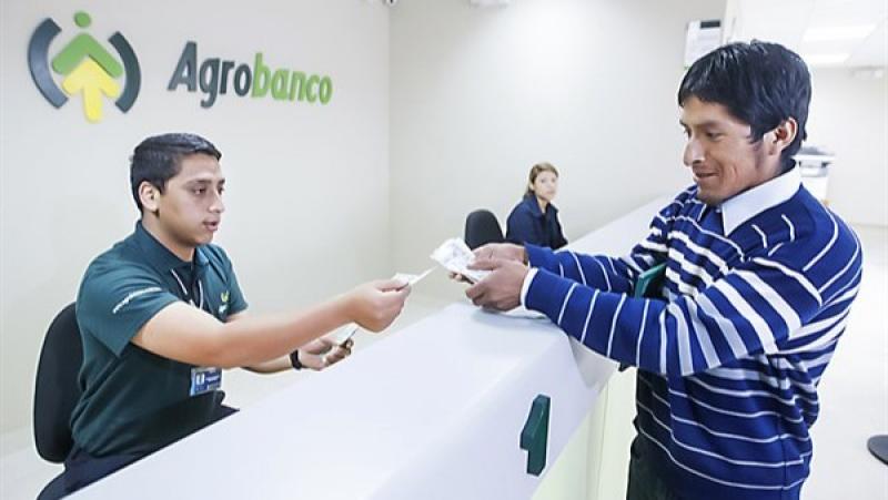 Midagri entregó más de S/ 155 millones en créditos a productores de café