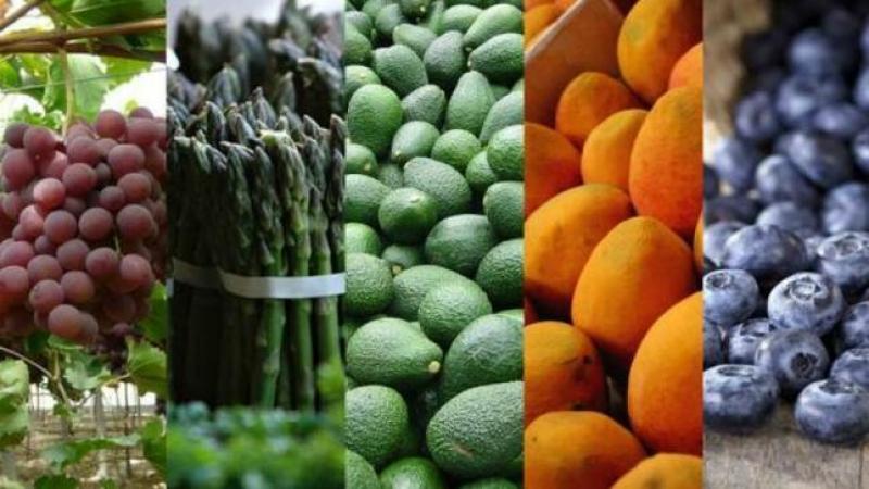 Midagri: Exportaciones de frutas y hortalizas sumaron US$ 1.767 millones en el primer cuatrimestre del 2023, mostrando un alza de +12%
