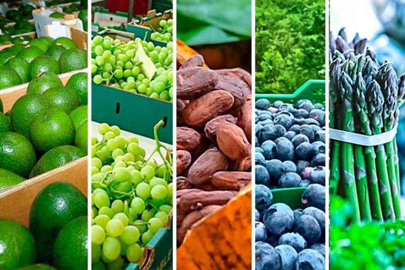 Midagri: Exportaciones de frutas y hortalizas sumaron US$ 2.069 millones entre enero y mayo de 2023, mostrando un crecimiento de +12%