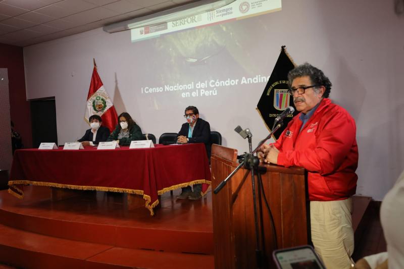 Midagri lanzó el primer censo nacional del cóndor andino