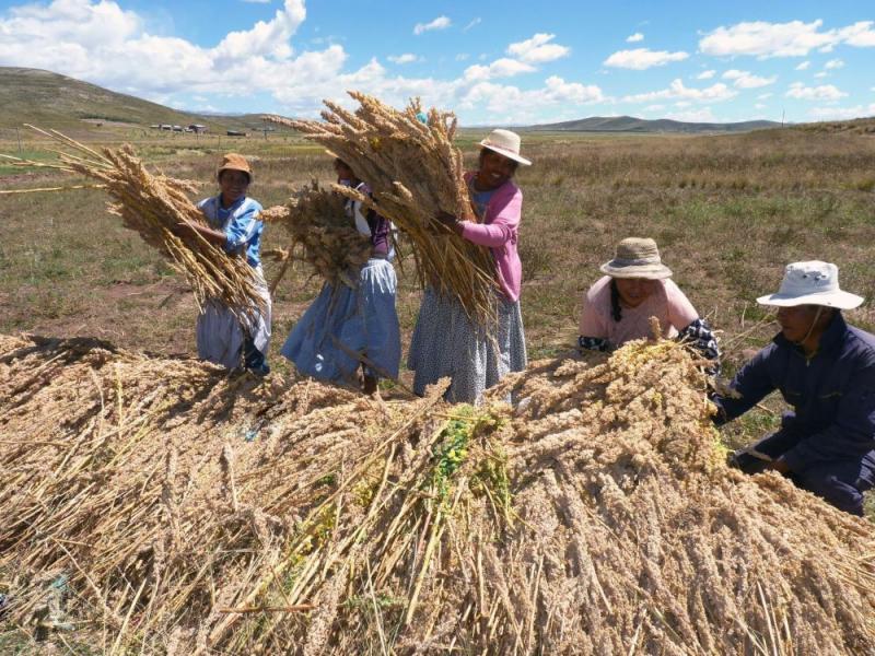Midagri: Producción agropecuaria crece 8.8% en junio del 2021