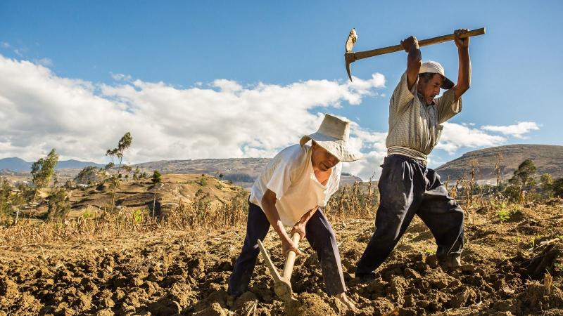 Midagri seguirá impulsando el sector agrario del país, con la aprobación de presupuesto público 2025