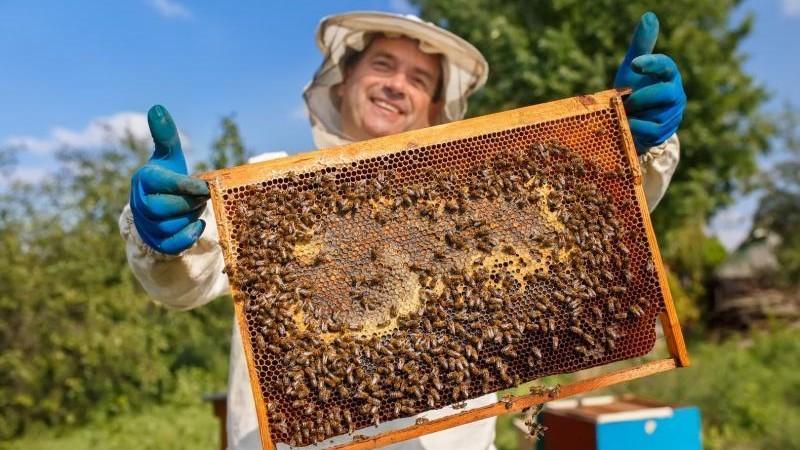 Midagri trabaja en la actualización del Plan Nacional de Desarrollo Apícola