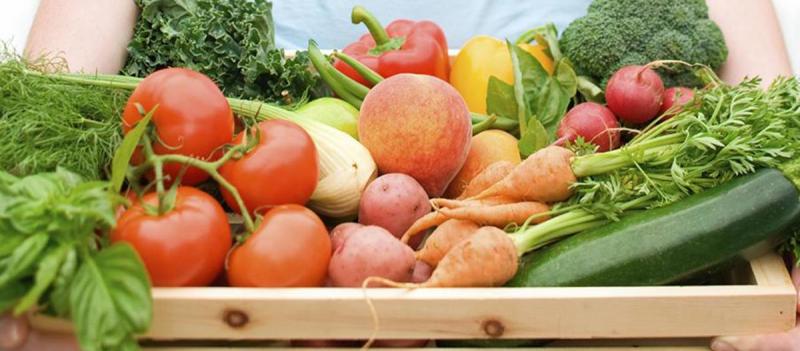 Minagri aprueba nuevo fungicida \"híbrido\"