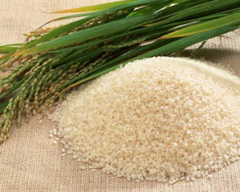 MINAGRI ASEGURÓ NORMAL ABASTECIMIENTO DE ARROZ A LOS MERCADOS