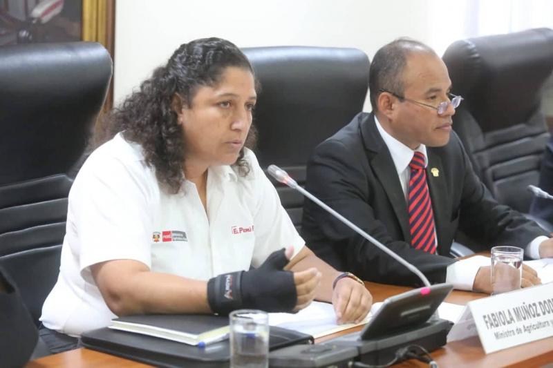 Minagri busca cambiar de nombre a Sierra y Selva Exportadora