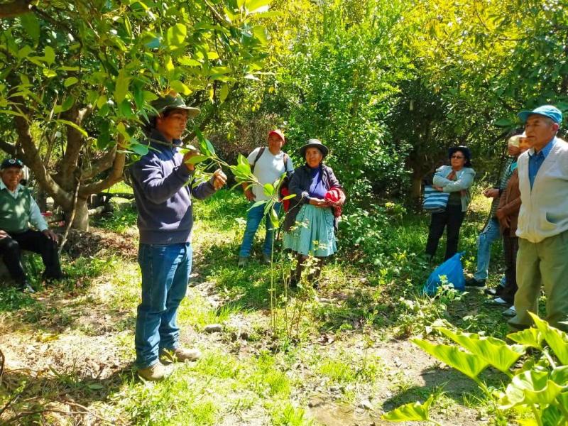 Minagri certificará los saberes de 262 campesinos en siete regiones del país
