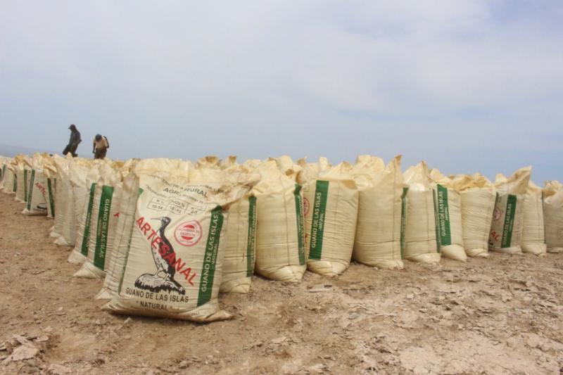 Minagri comercializó más de 37 mil sacos de guano de isla a productores de cacao
