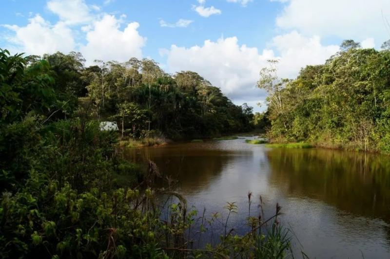 Minam reconoce tres áreas de conservación privada en Cajamarca, Amazonas y Cusco