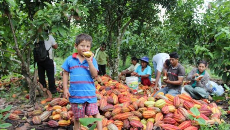 Mincetur apuesta por los Planes Regionales de Exportación para impulsar los productos no tradicionales