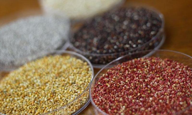 Mincetur buscará que Unión Europea facilite acceso de \'superfoods\' peruanos