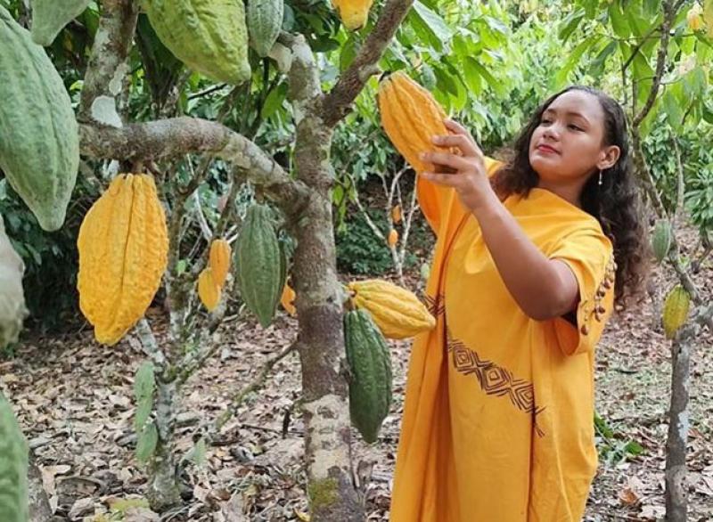 Mincetur presentó dos herramientas para impulsar envíos de banano y cacao