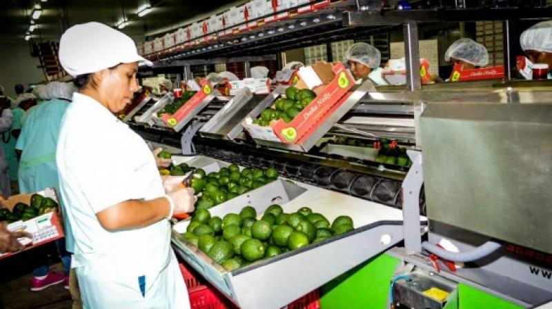 Mincetur trabaja 9 planes regionales para potenciar exportaciones