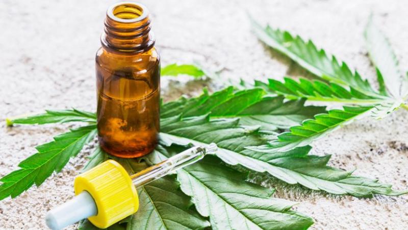 Mininter aprobó lineamientos para producción y comercialización de cannabis para uso medicinal