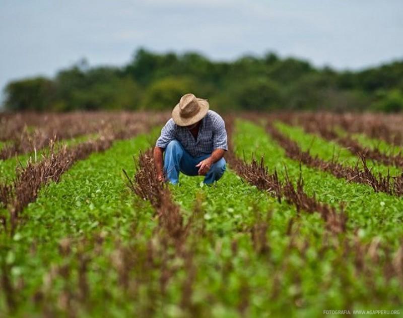 Ministro Tenorio: Política Nacional Agraria prevé acceso financiero a los productores de subsistencia