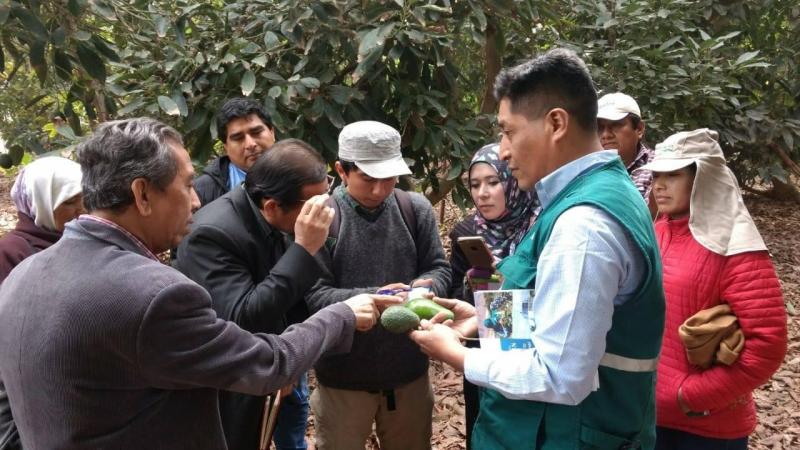 Misión de Malasia visita Perú interesada en fruta fresca