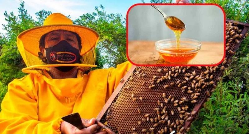 Mujeres emprendedoras de Piura comercializan miel de abeja
