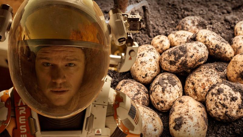 NASA PLANEA LLEVAR PAPAS PERUANAS A MARTE