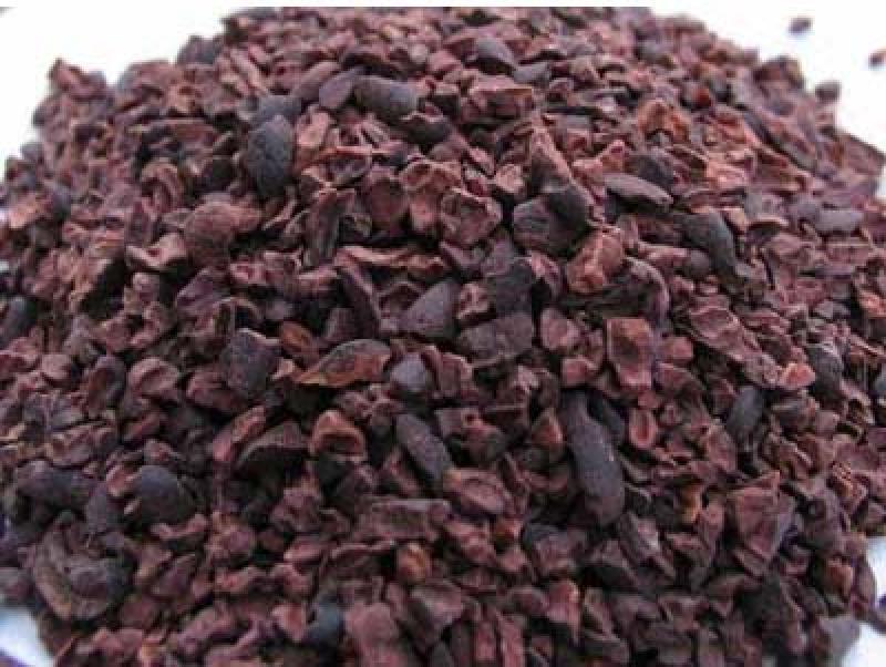 NIBS DE CACAO TIENEN POTENCIAL EN MERCADO EUROPEO