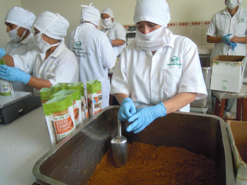 Norandino busca incrementar producción de panela en Bagua