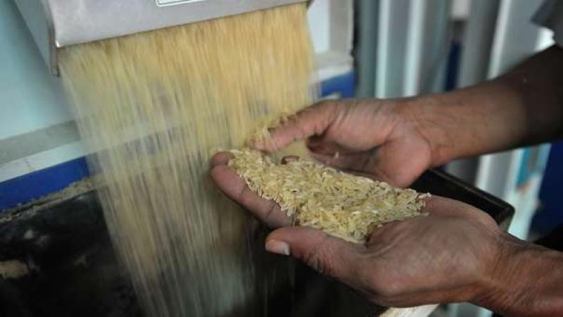 Noticias falsas sobre supuesto arroz plástico afectan comercio de arroz en Bolivia