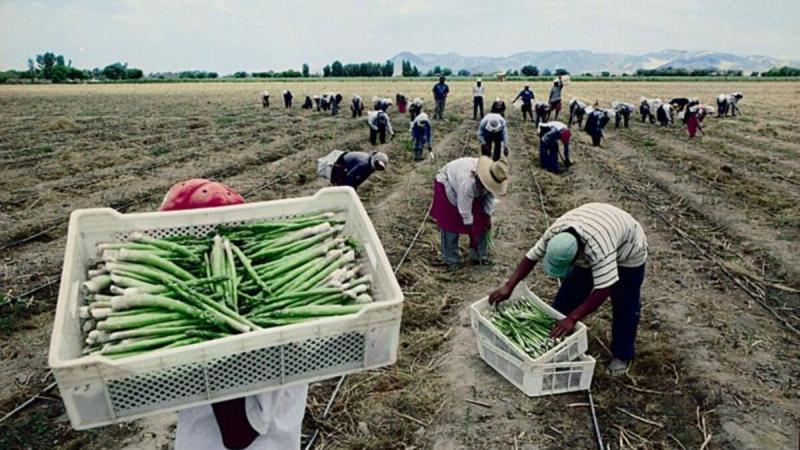 Nueva Ley de Promoción Agraria y bono BETA