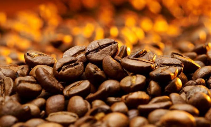 Nueva variedad de café llegará al Perú