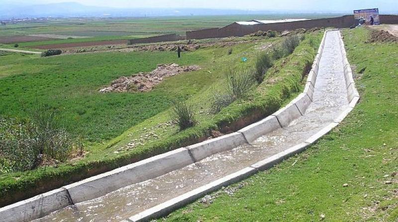 NUEVO CANAL DE RIEGO EN TACNA PERMITIRÁ PRODUCIR DOS CAMPAÑAS AGRÍCOLAS