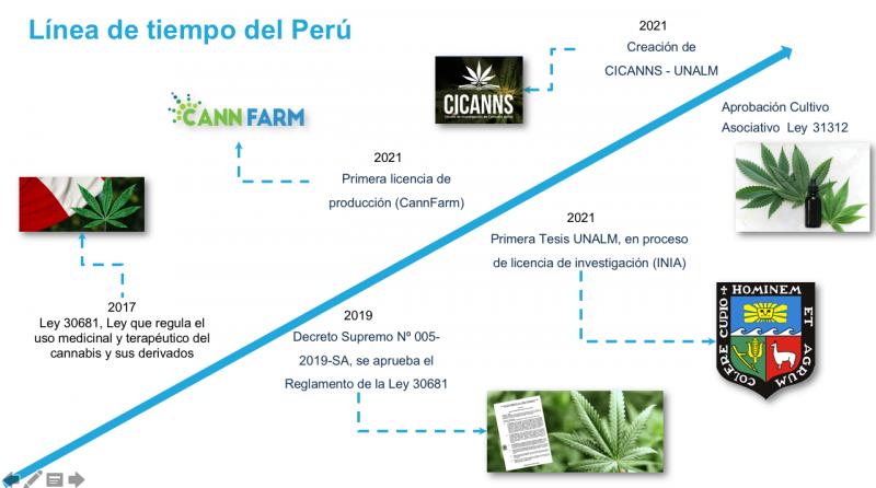 ODSs, Politicas Publicas y Cannabis: El caso de Perú