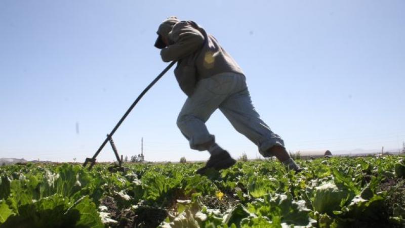 ORGANIZACIÓN MUNDIAL DE AGRICULTORES  SE REUNIRÁ EN ARGENTINA EN 2014