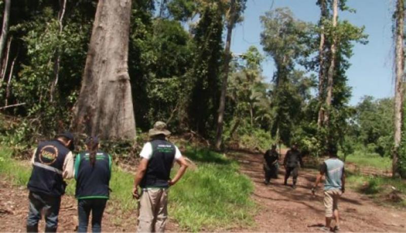 Organizan el primer Encuentro Peruano de Plantaciones Forestales en la UNALM