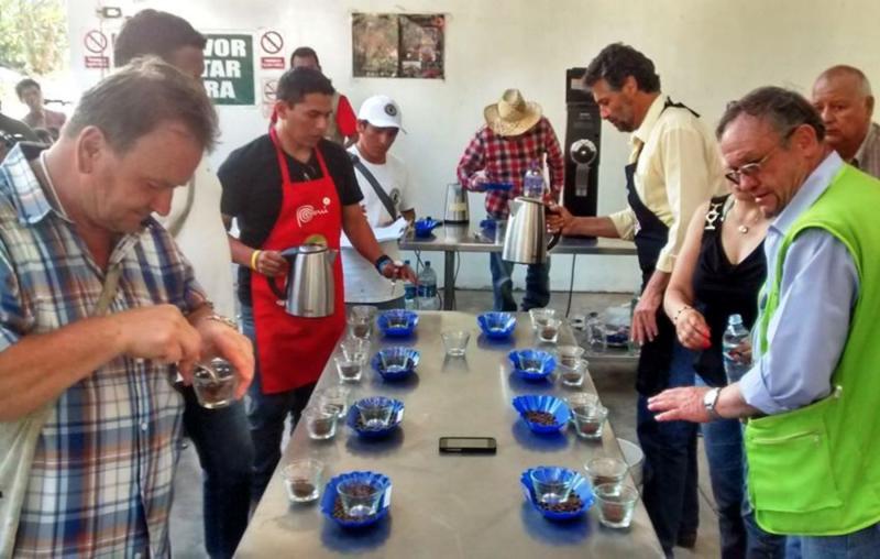 PAGAN US$ 1.645 POR UN QUINTAL DE CAFÉ ORGÁNICO EN CHANCHAMAYO