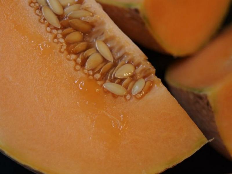 Países Bajos fue el mayor destino de las semillas de melón procedentes de Perú