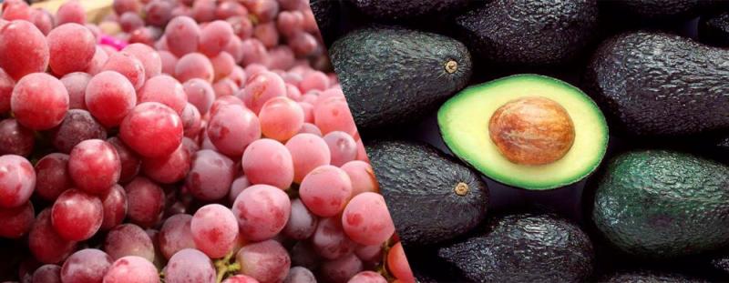 Palta, uva, mandarina, mango, entre los productos más exportados por el Perú a Rusia en los últimos 20 años; hay mucho potencial para crecer