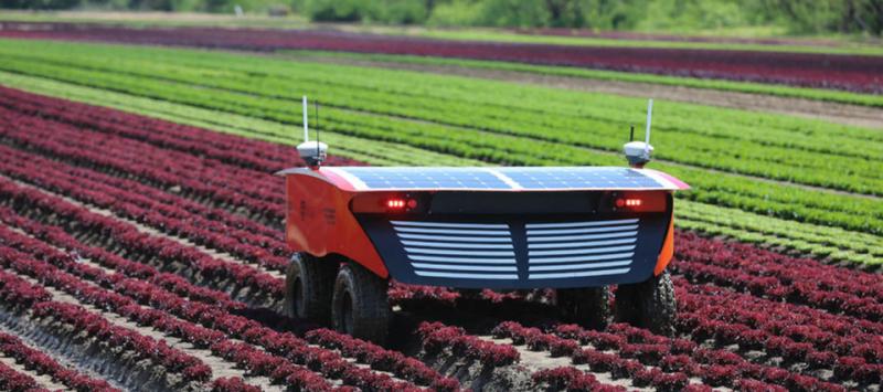 Para el 2030 los campos serán trabajados por máquinas robotizadas en un 90%