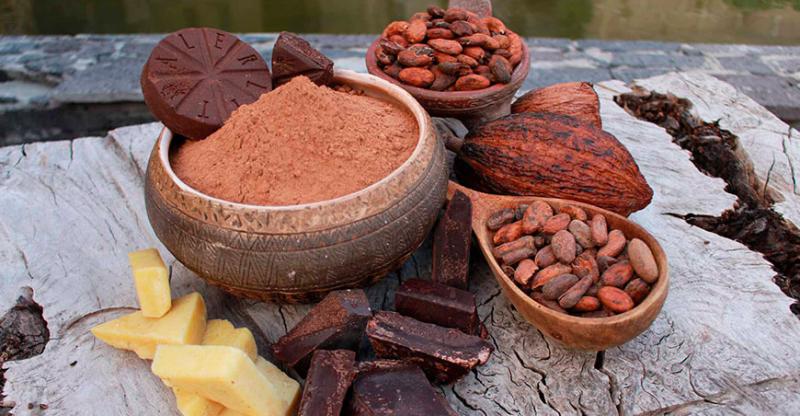 Pasco: Construirán planta procesadora de cacao en Constitución