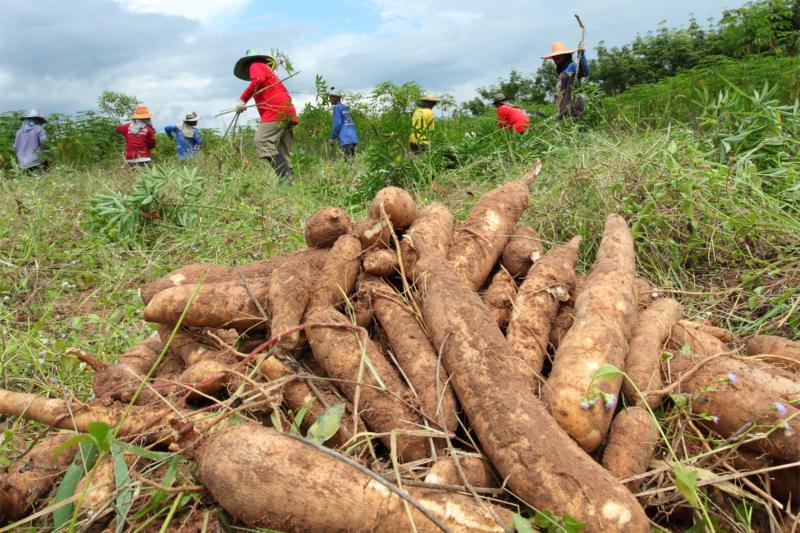 Pequeños agricultores accederán a tasas de interés de entre 10% y 12%