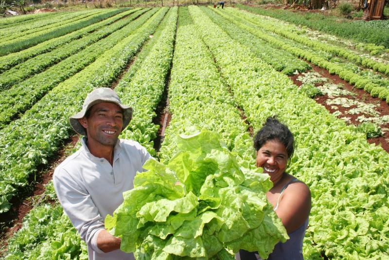 PEQUEÑOS AGRICULTORES SERÁN PRIORIDAD PARA EL MUNDO