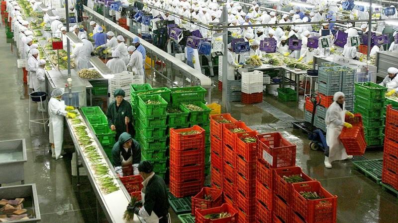Perú, a semanas de superar las agroexportaciones de 2024