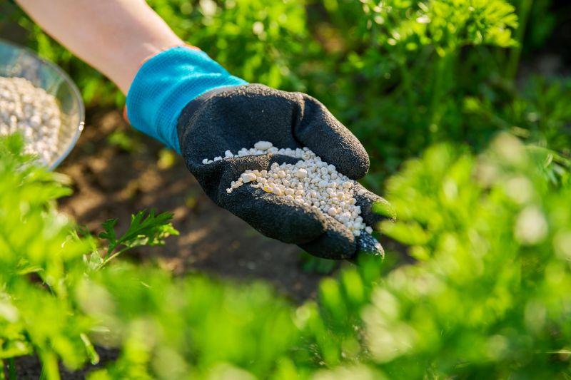 Perú: aprueban nuevas Normas Técnicas para fortalecer la calidad en fertilizantes y alimentos