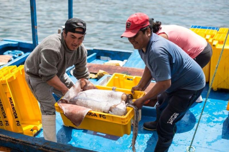 Perú cofinanciará planes de innovación en acuicultura y pesca por S/ 1.530.000