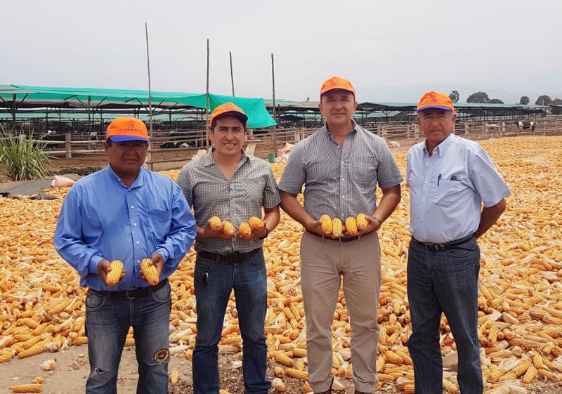 Perú: Desde una Agricultura de subsistencia hasta una Agricultura de Exportación
