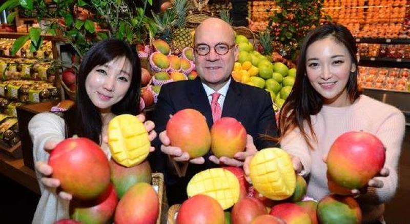 PERÚ DESPACHÓ TRES MIL TONELADAS DE MANGO FRESCO A COREA DEL SUR