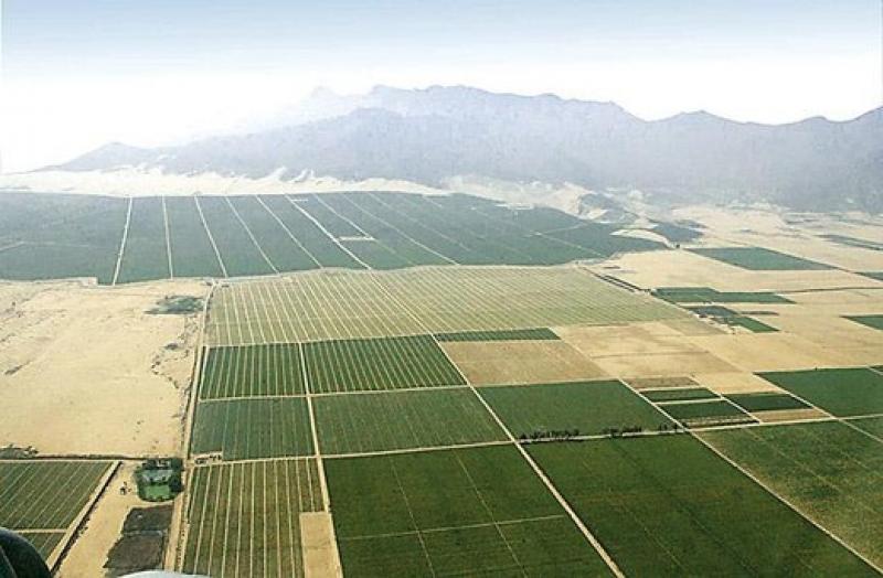 Perú duplicará tierras para producción agrícola exportable en el corto plazo