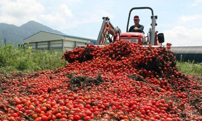 PERÚ ENTRE LOS DIEZ PRODUCTORES AGRÍCOLAS MÁS GRANDES DEL MUNDO
