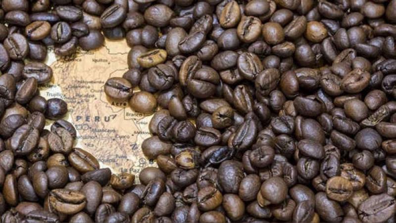 Perú es el primer productor y exportador mundial de café orgánico junto con Etiopía