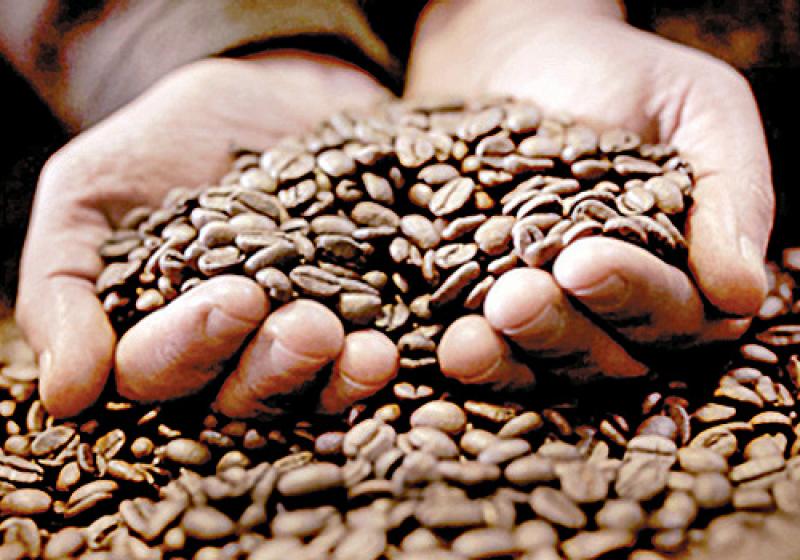 Perú es el segundo exportador de café orgánico del mundo